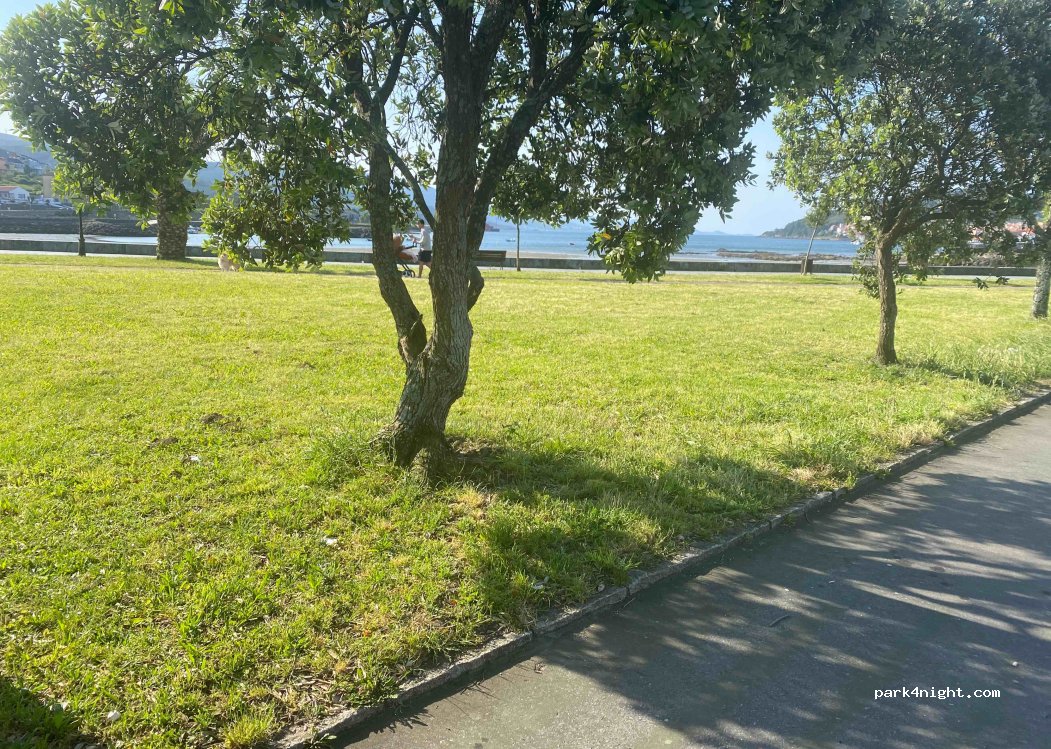 (15270) Cee - 7 Paseo Alcalde Pepe Sánchez — foto 2