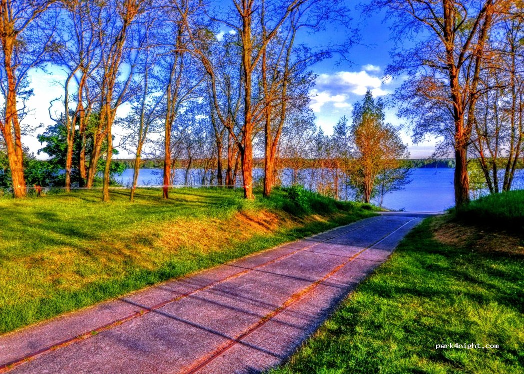 Slipanlage am Bergwitzsee — foto 5