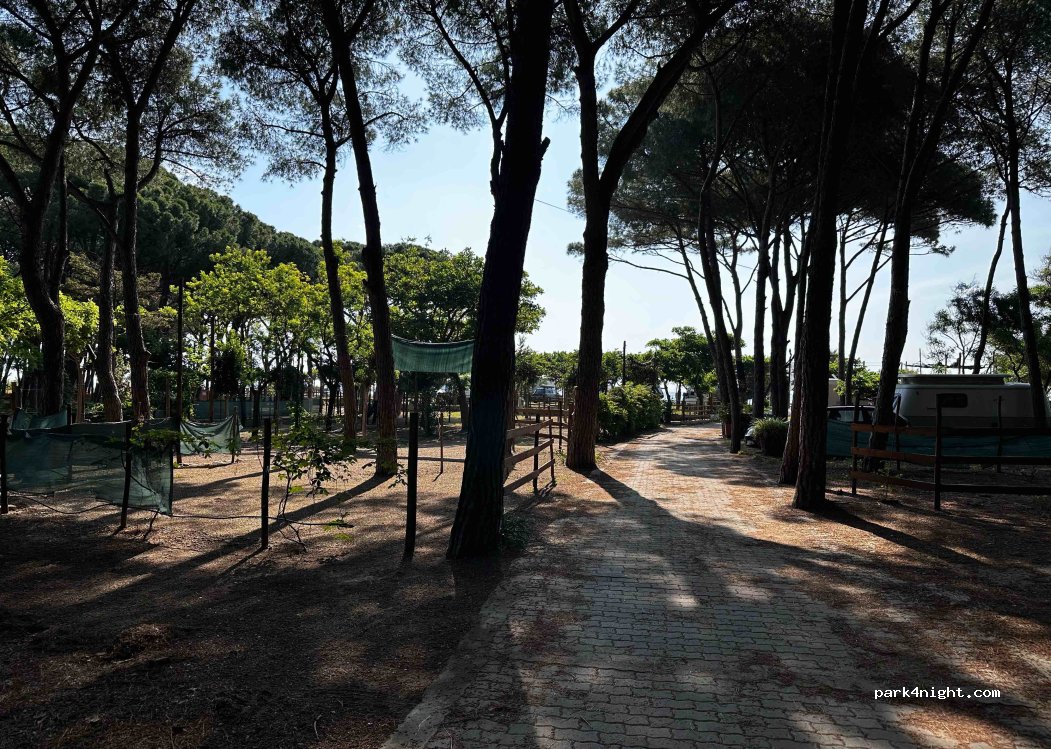 Camping Calabrisella — foto 3