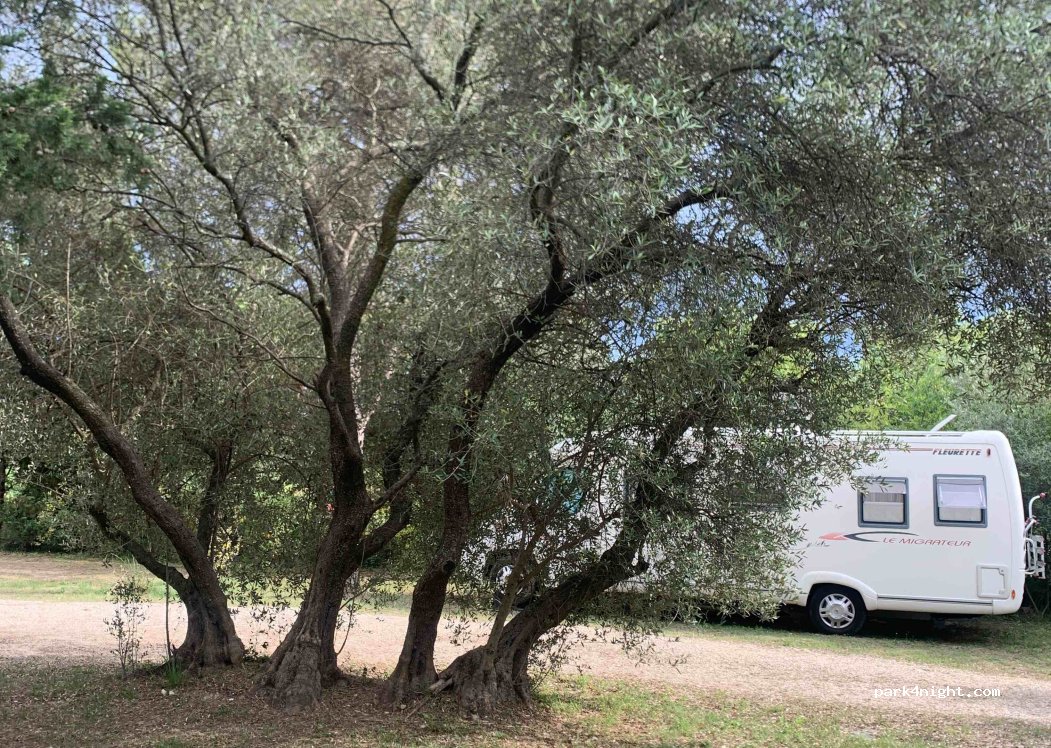 Camping L'Olivier — foto