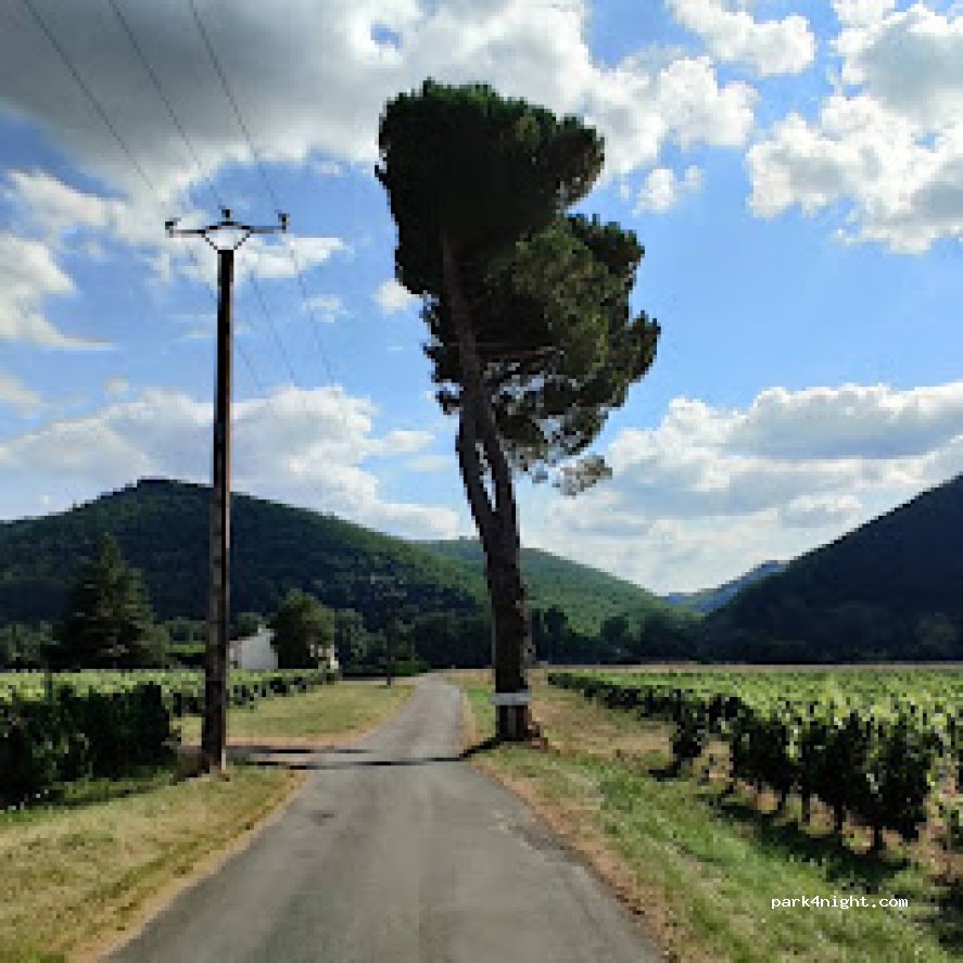 Village Camping Les Vignes — foto 2