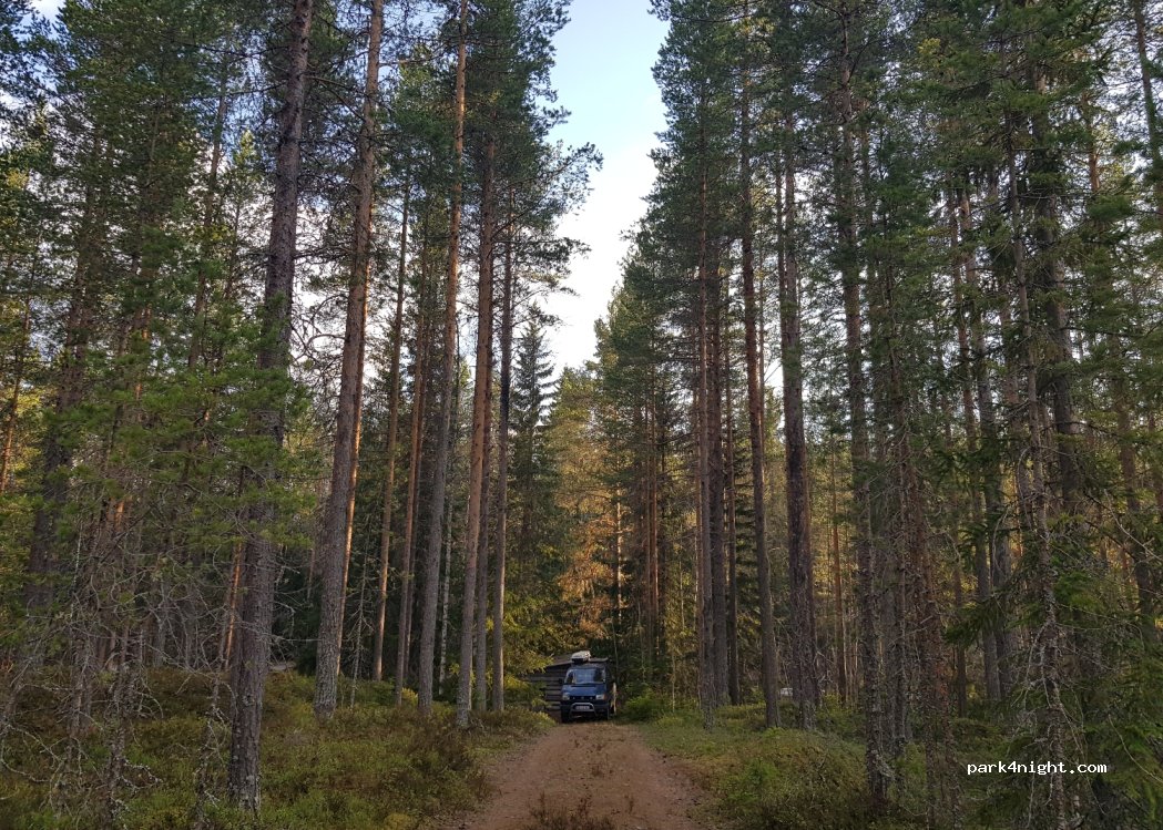 (840 60) Grassjö - — foto