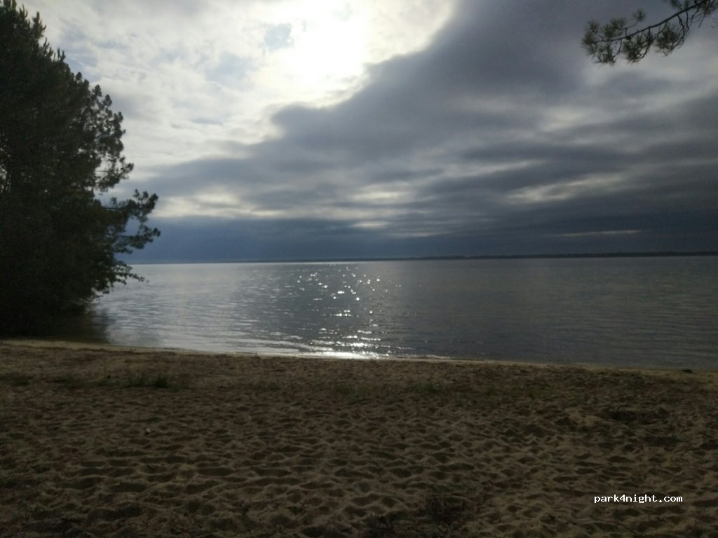 (40600) Biscarrosse - 1074 Chemin de Maguide — foto