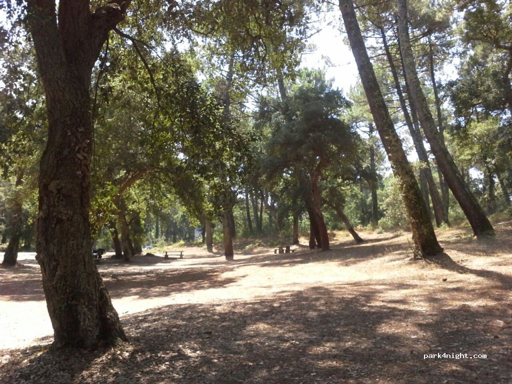 (40510) Seignosse - D79 — foto