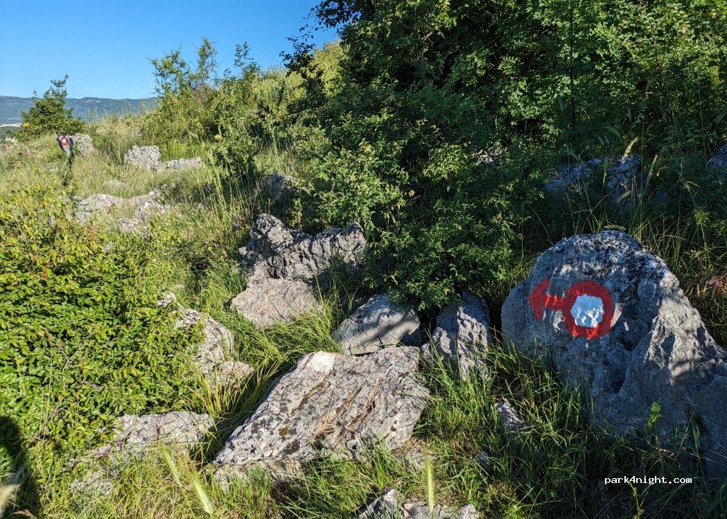 Camp Lekovac — foto 4
