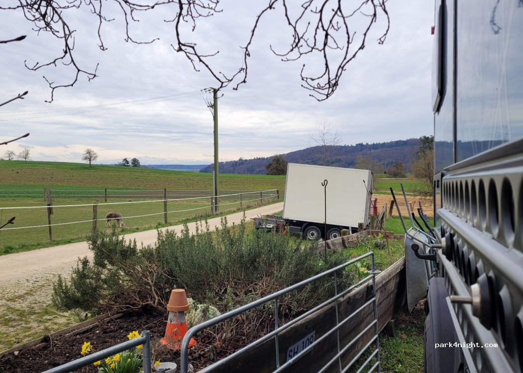 (8203) Schaffhausen - Büsingerstrasse 34 — foto 3