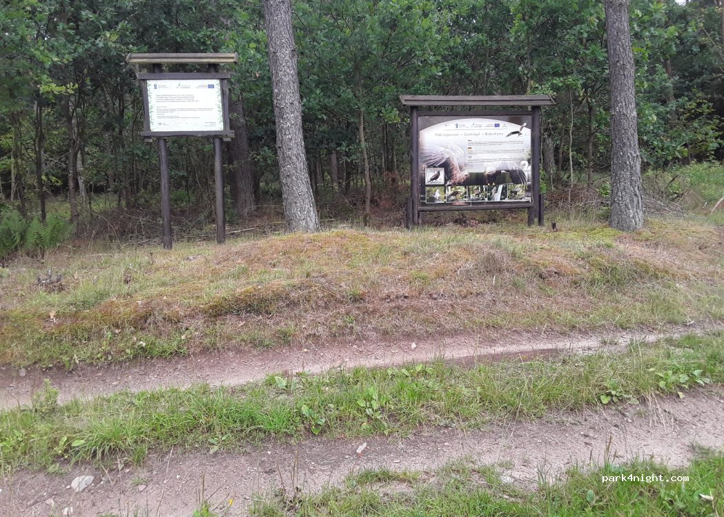 (78) Brzeźnica - — foto