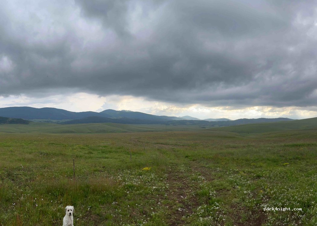 () Zlatibor - — foto