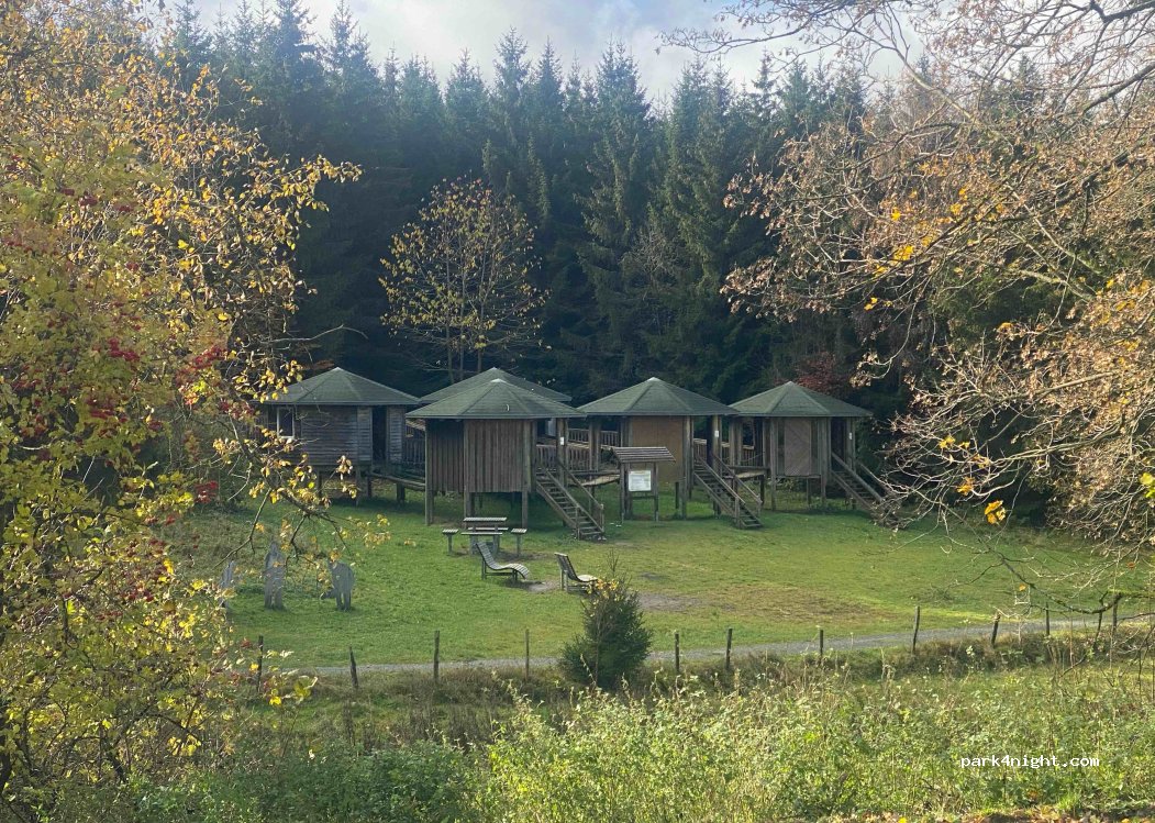(59955) Winterberg - L770 — foto 4