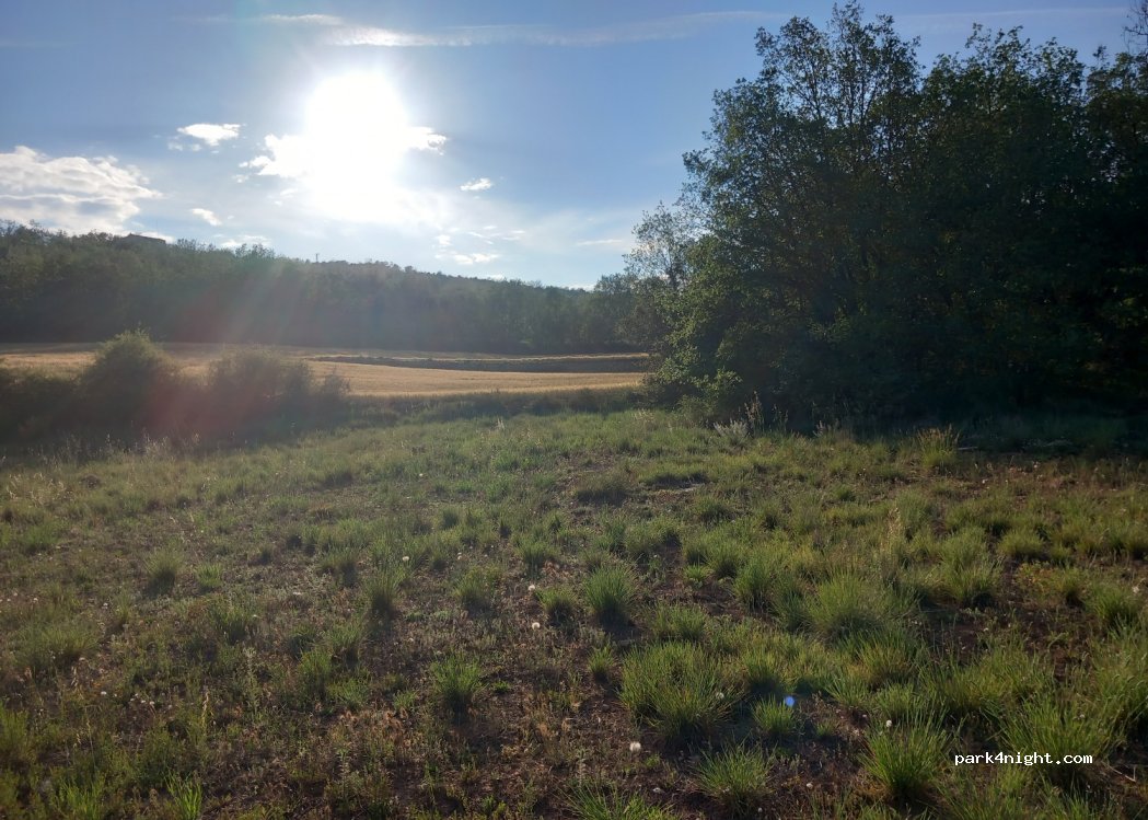 Auró Natura — foto