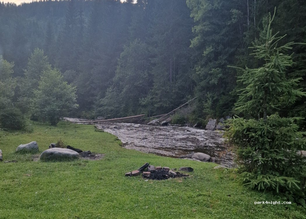 (407366) Măguri - — foto 4
