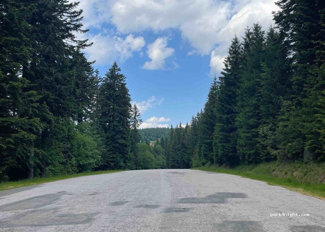 (88400) Gérardmer - 145 Chemin de la Chaume Francis — foto