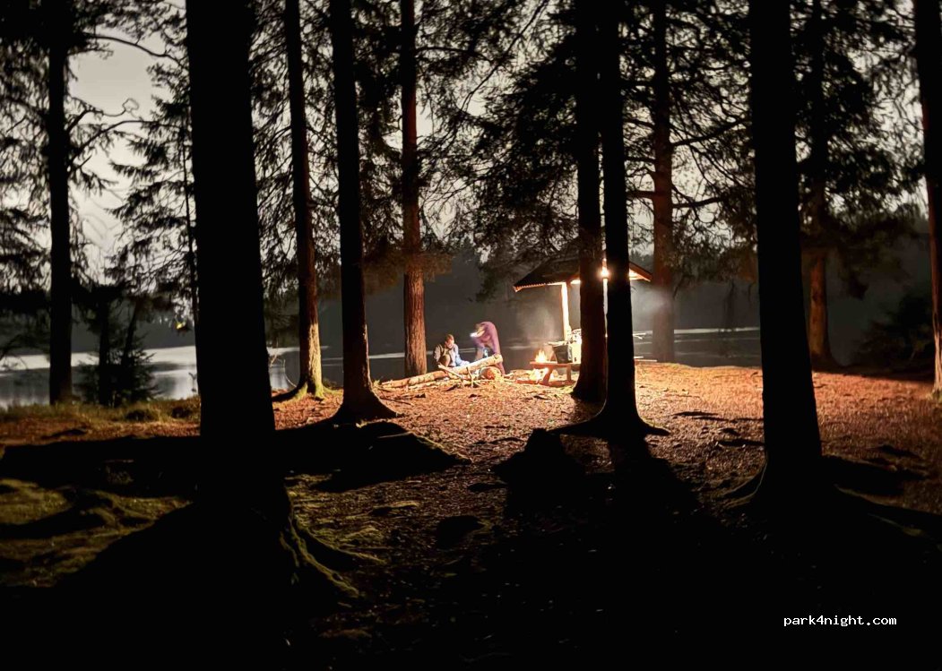 (504 31) Borås - Unnamed Road — foto 5