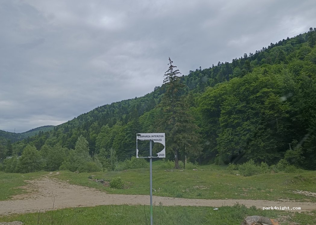 (105500) Bușteni - — foto