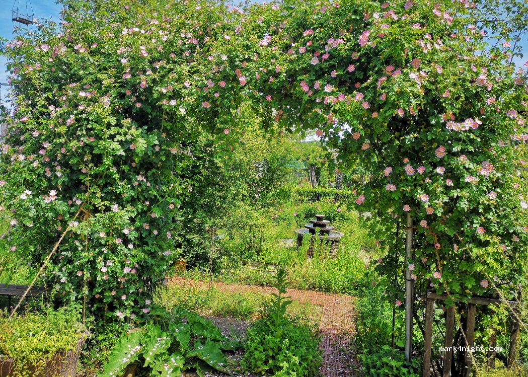 Kräuter- und Heilpflanzen-Labyrinth — foto
