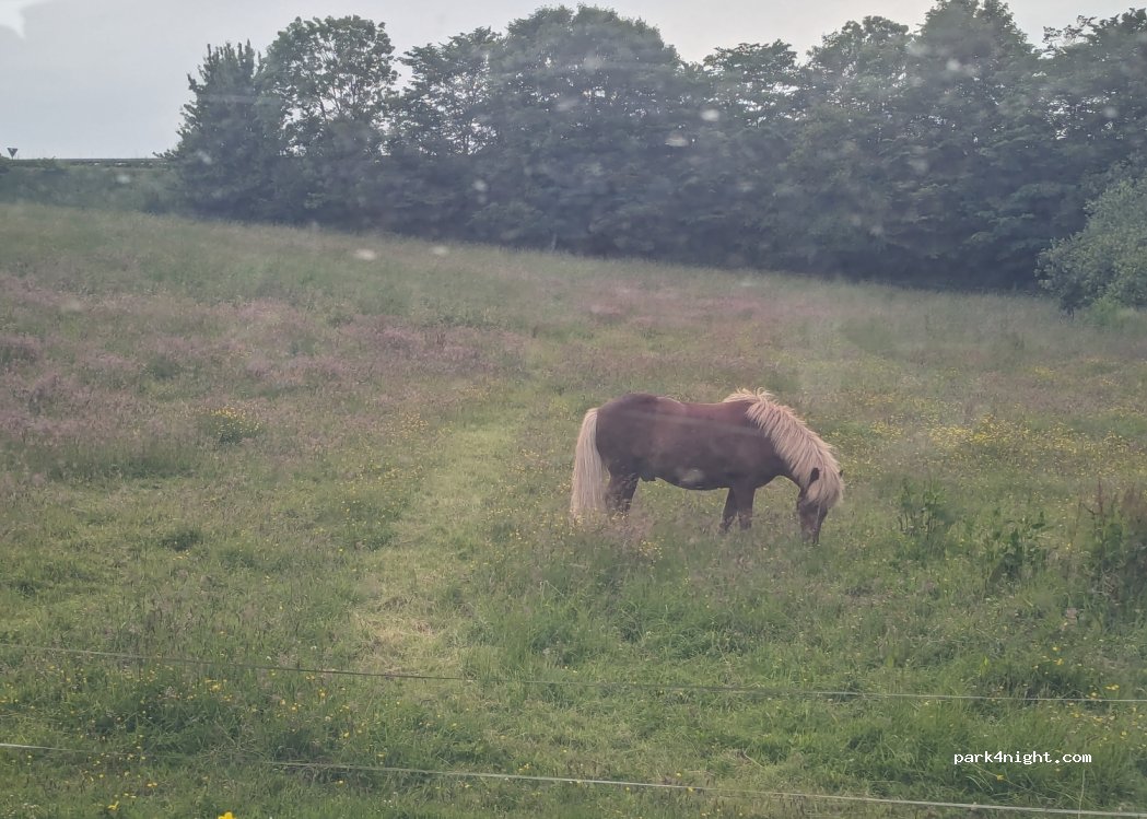(8990) Fårup - 6 Holmgaardsvej — foto 4