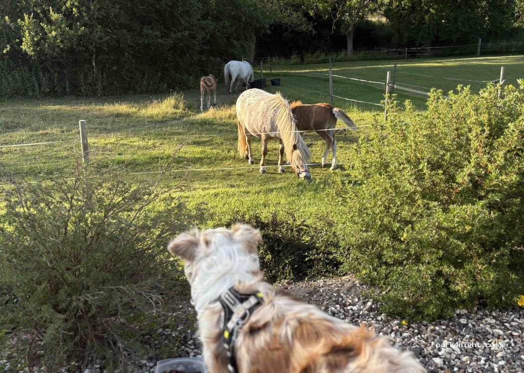 (8990) Fårup - 6 Holmgaardsvej — foto 5