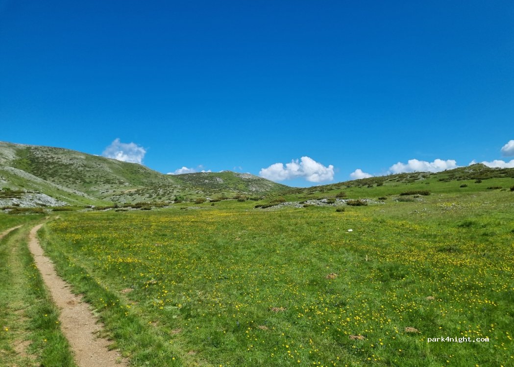 (1256) Mavrovo - — foto