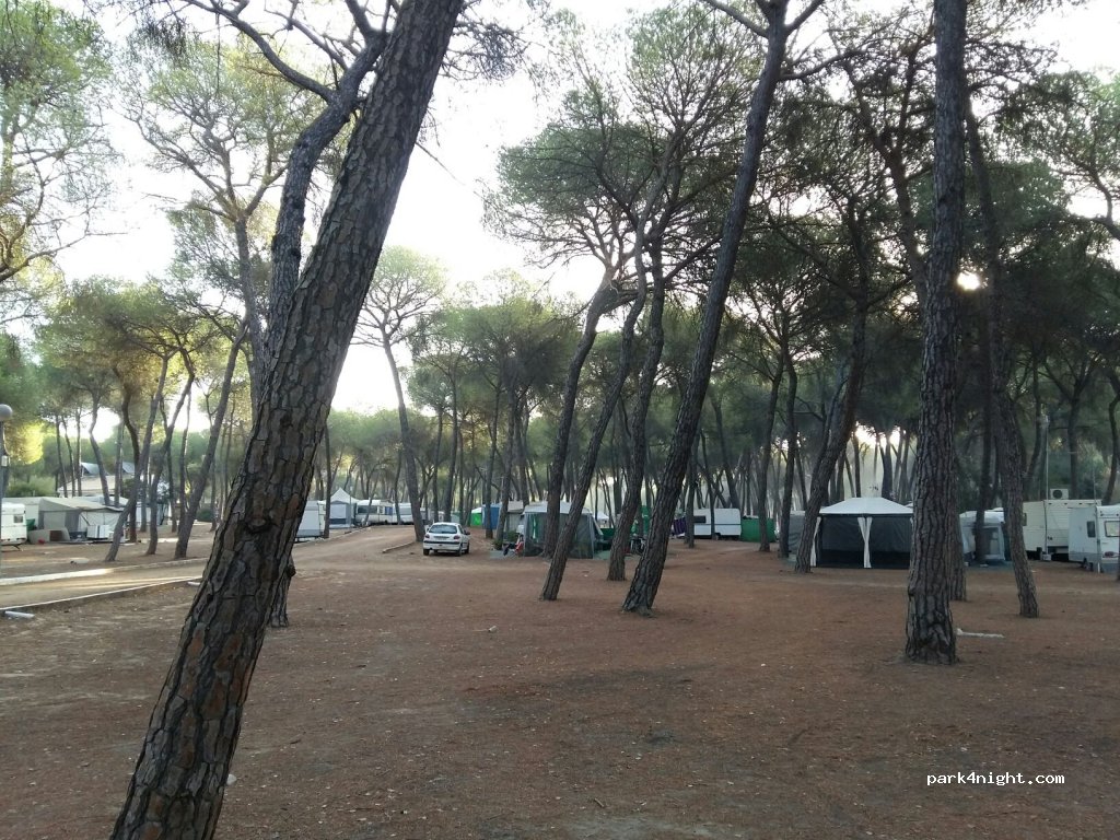 Camping Dehesa Nueva — foto