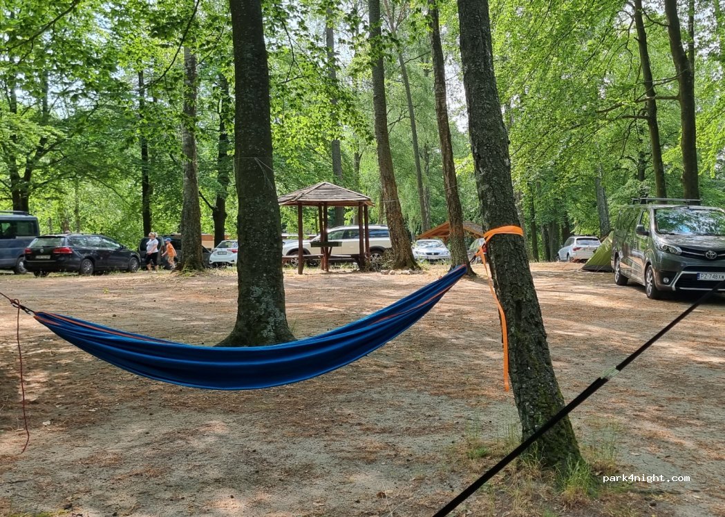 Island Camp. Kemping — foto 2