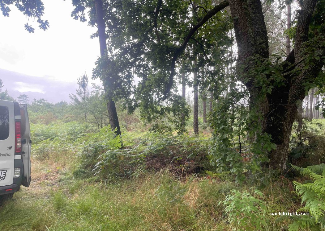 (40090) Geloux - Chemin du Barrat — foto