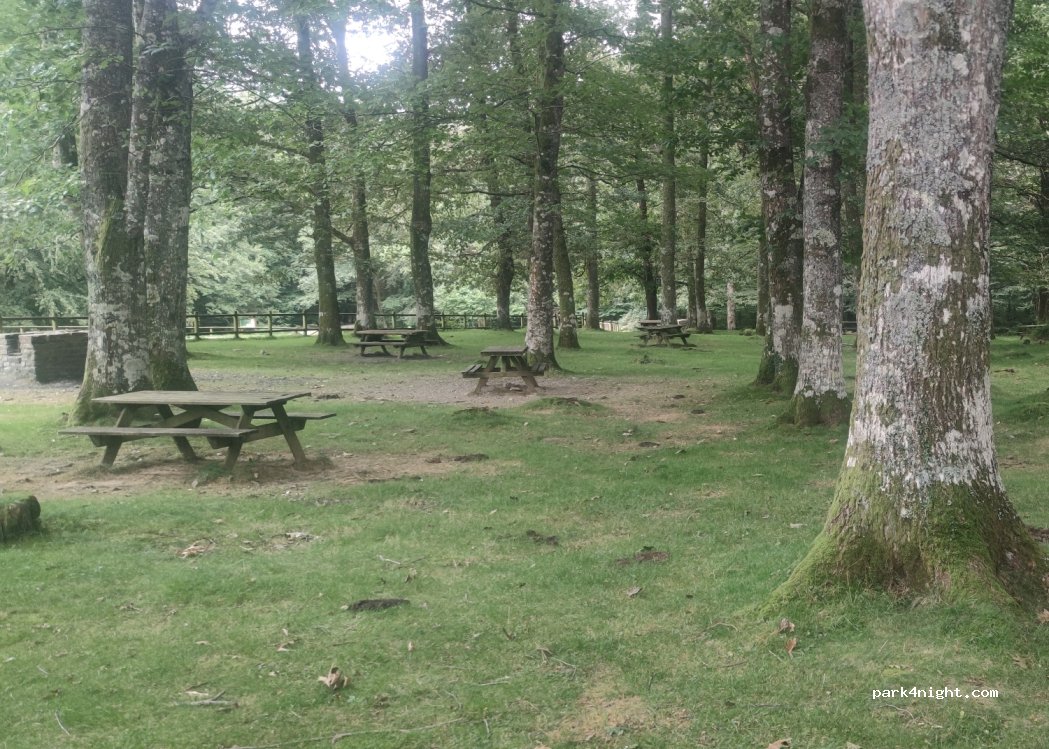 (31880) Leitza - Unnamed Road — foto 2