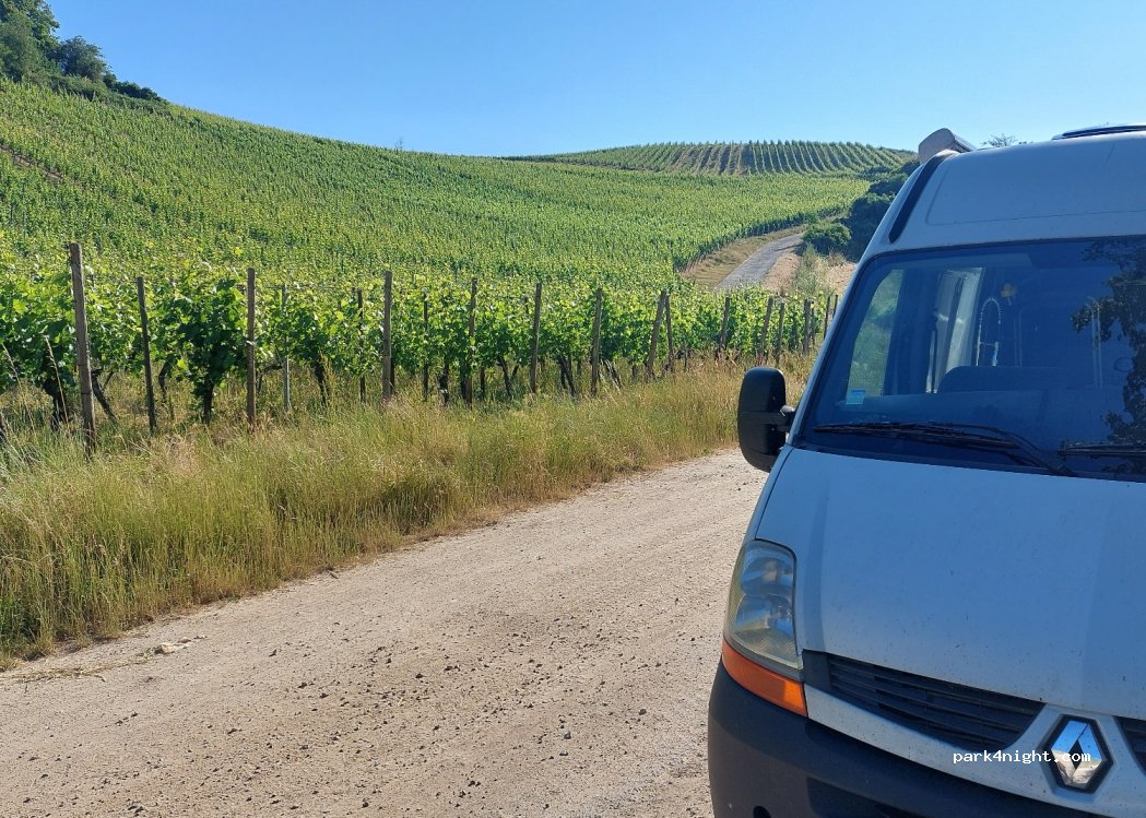 (55452) Dorsheim - Unnamed Road — foto