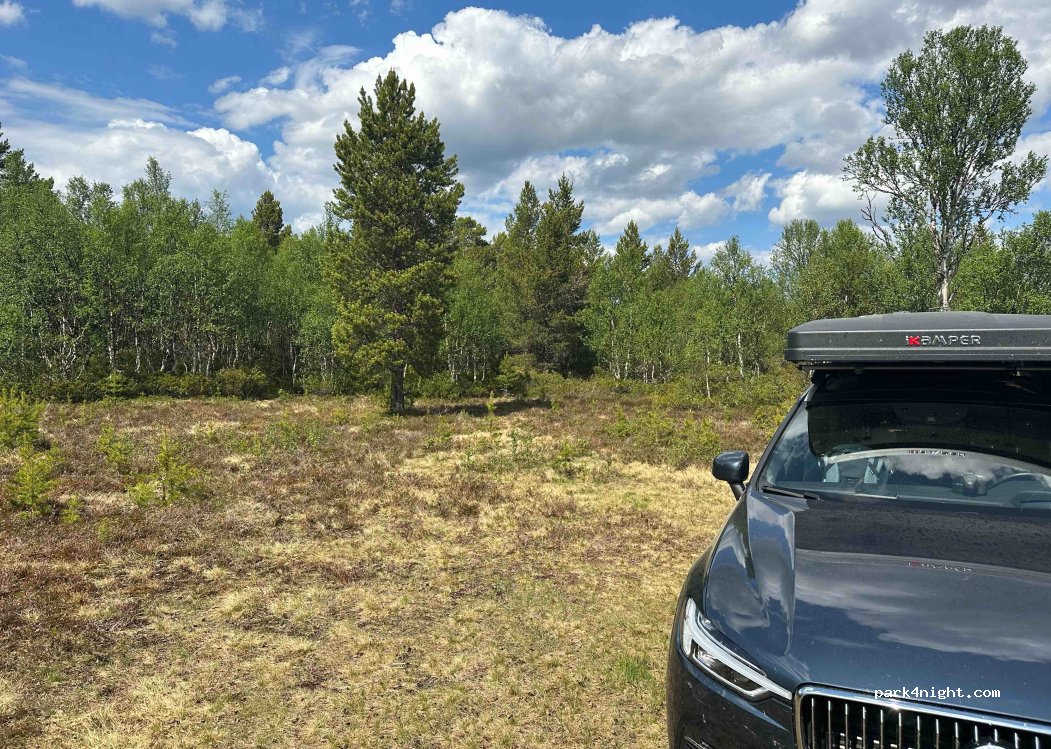 (2540) Hodalen - 46 Letningsliveien — foto