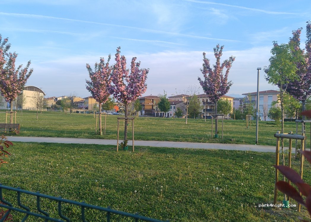 (37012) Bussolengo - 5 Via Andrea Mantegna — foto 5