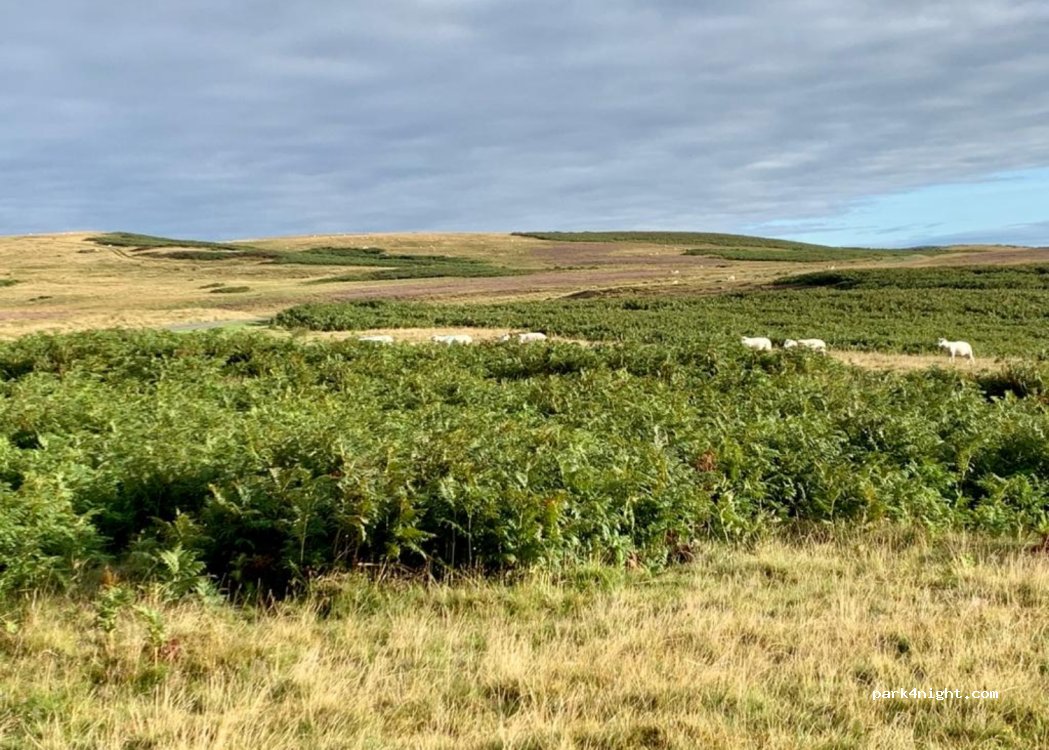 (NP8 1LN) Llangynidr - — foto 2