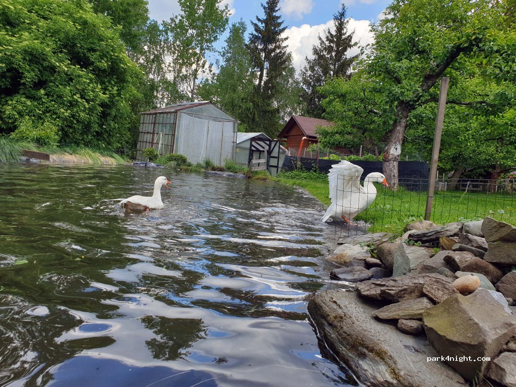 Base des Deux Oies — foto 4