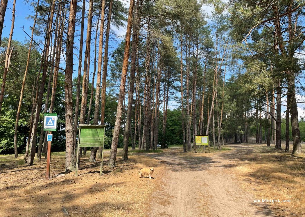 (66) Lubiatów - — foto 3