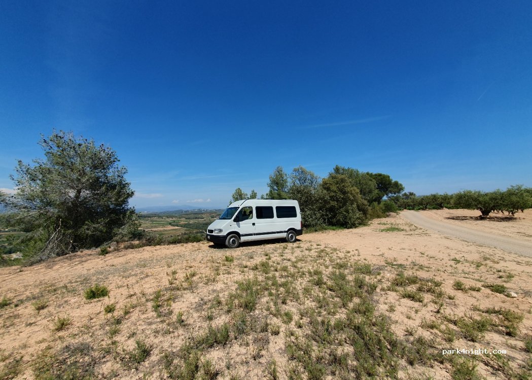 (08775) Torrelavit - — foto