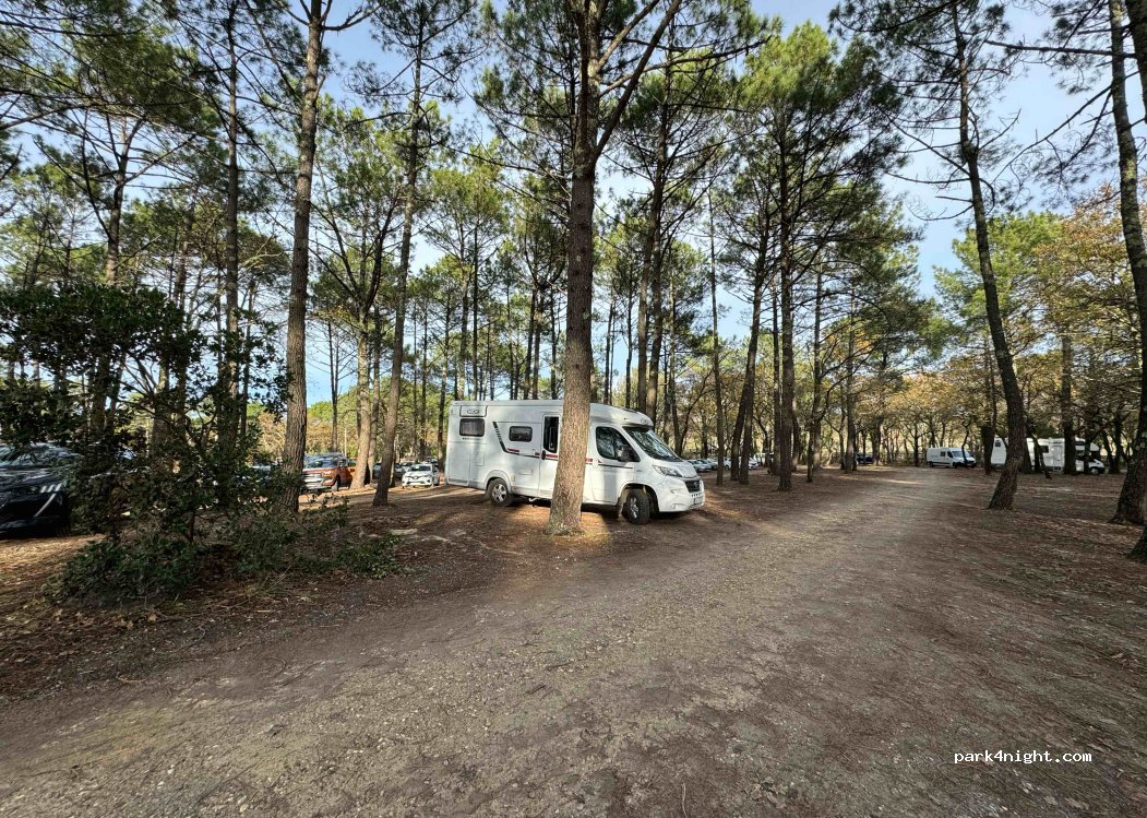 (33260) La Teste-de-Buch - Route d'Arcachon à  Biscarrosse — foto 2