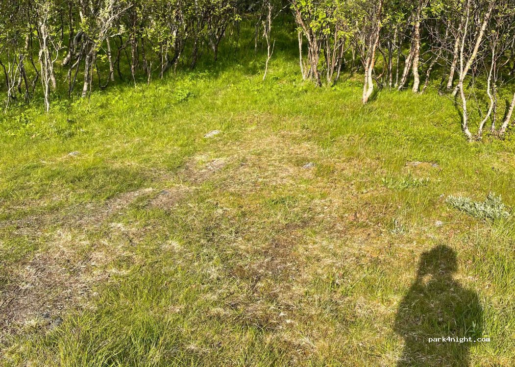 (8484) - Sekundær Fylkesveg 973 — foto 2