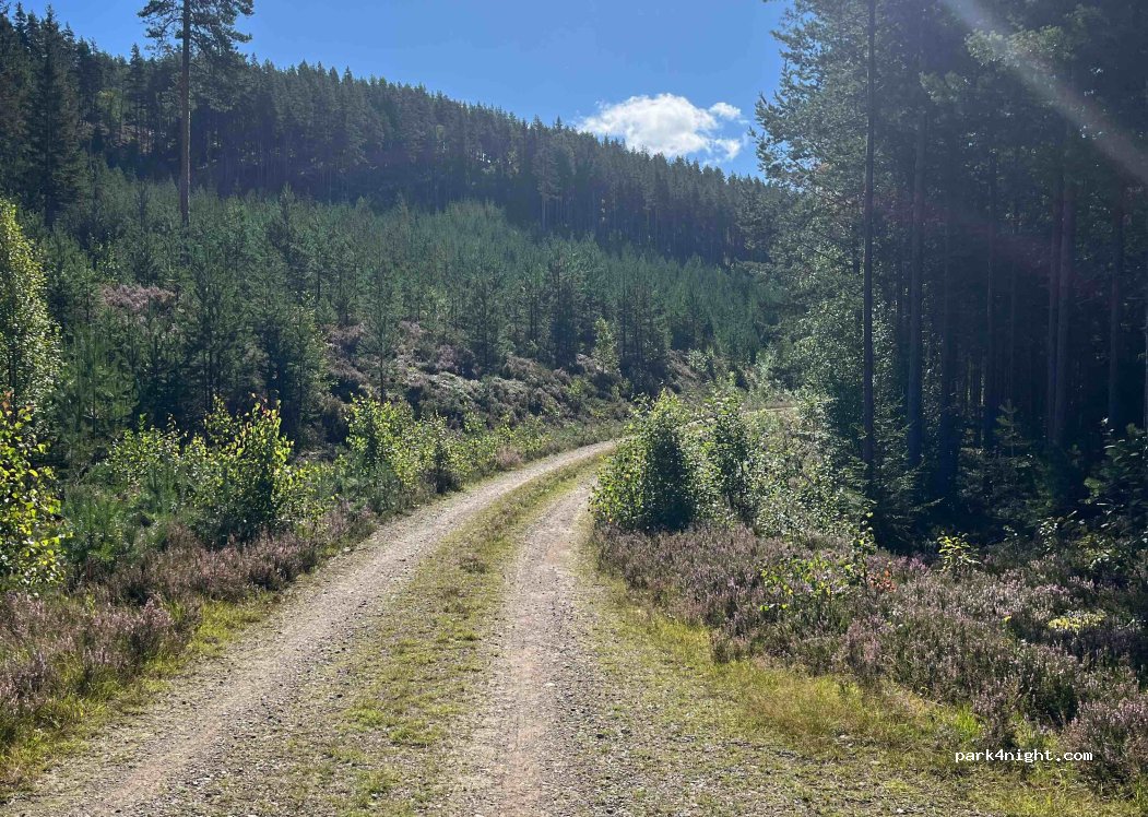 (685 91)  - Unnamed Road — foto 3