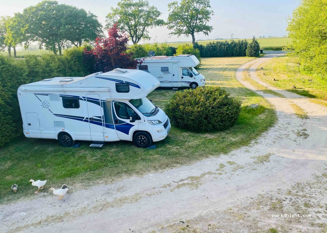 (18569) Schaprode - 7 Granskevitz — foto