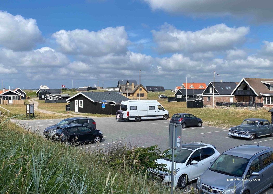 (7770) Vestervig - 2 Klitgryden — foto