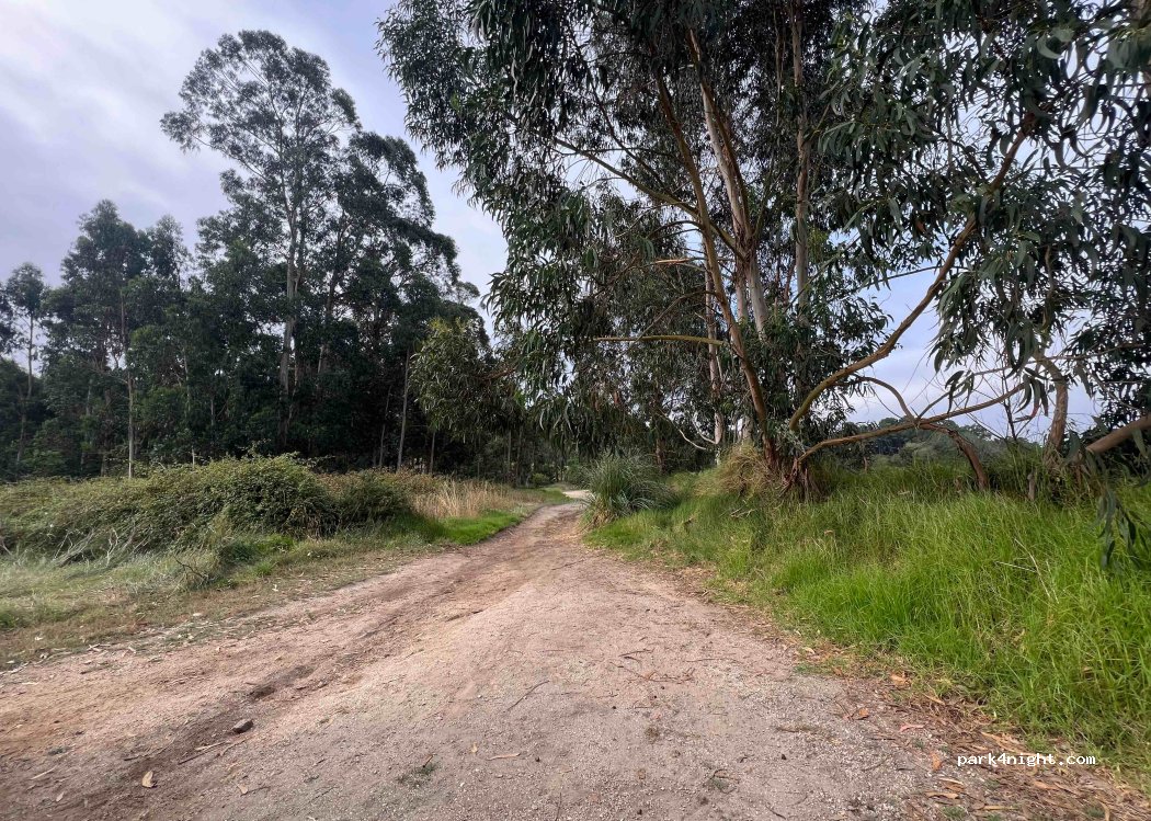 (36633) A Bouciña - Unnamed Road — foto