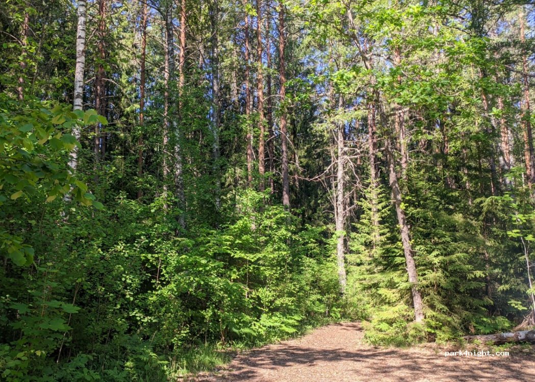 () Älvkarleby - 291 — foto 2