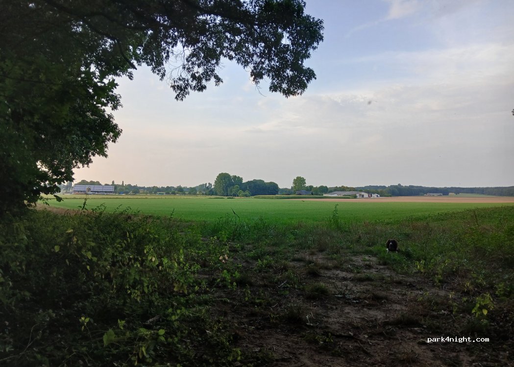 (47559) Kranenburg - Unnamed Road — foto 2
