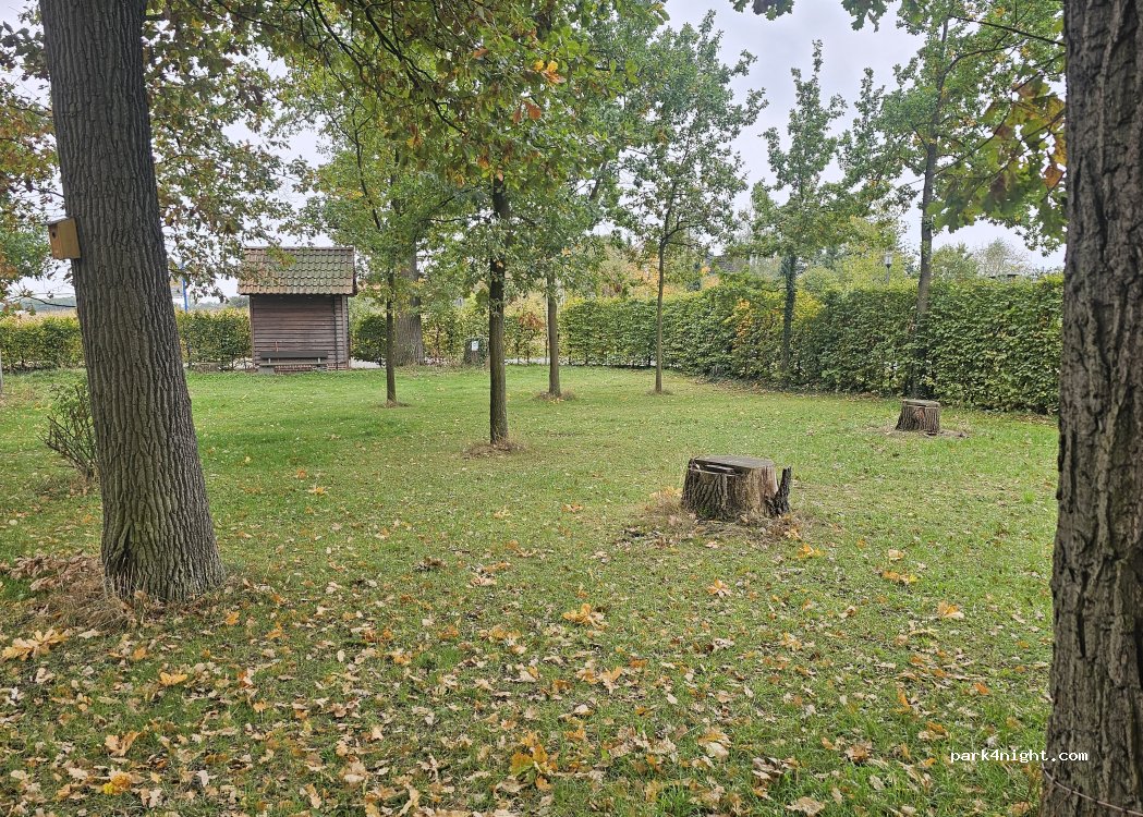 Draußen in Höfen — foto 5