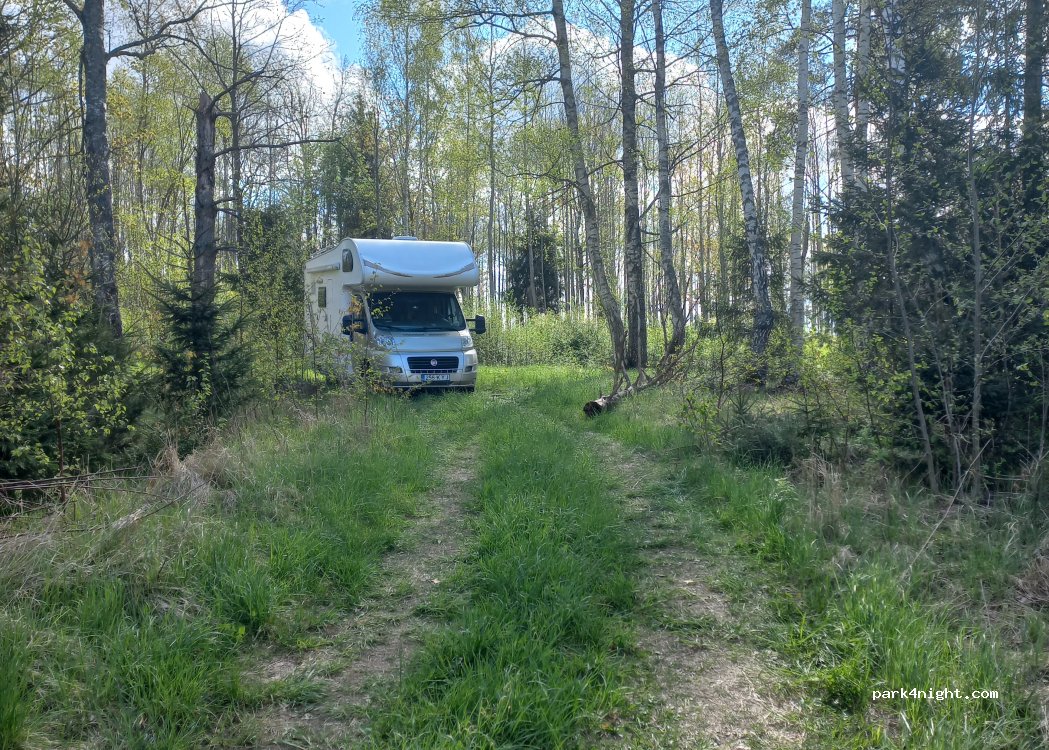 (3139) Sloklejas - Unnamed Road — foto