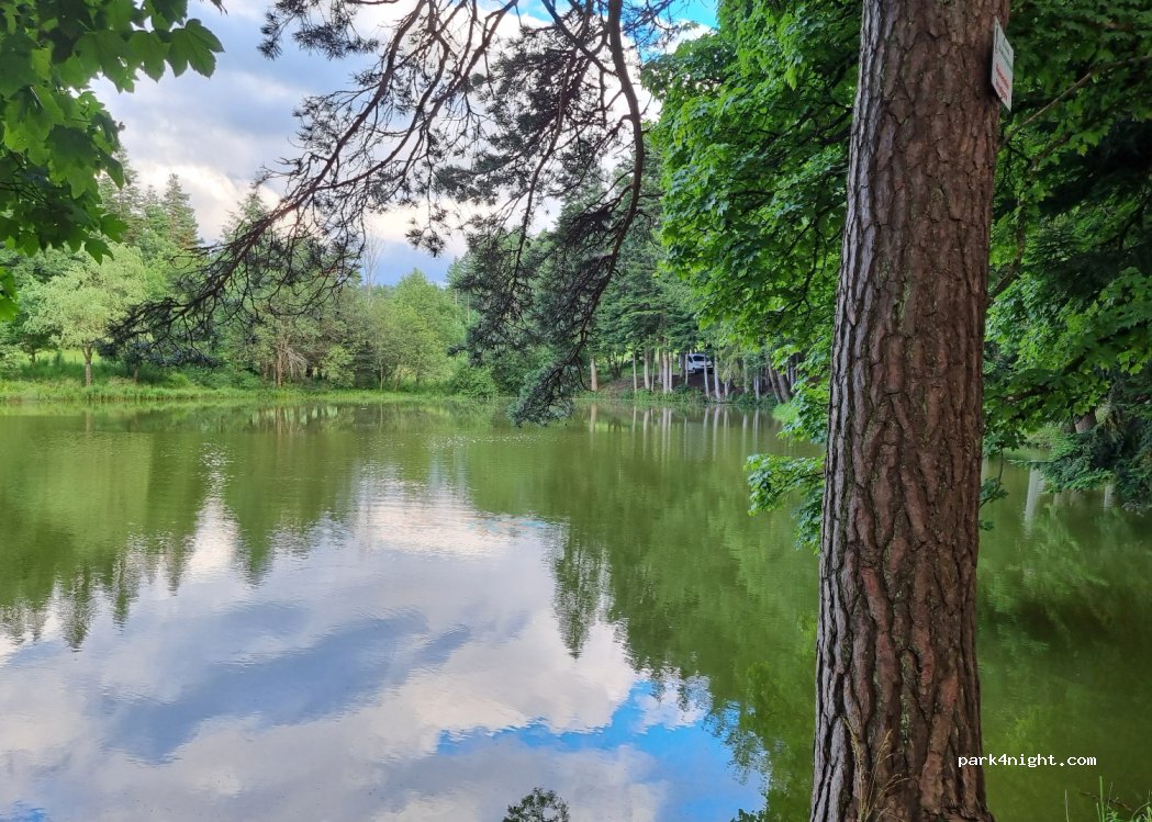 (43600) Sainte-Sigolène - — foto 2