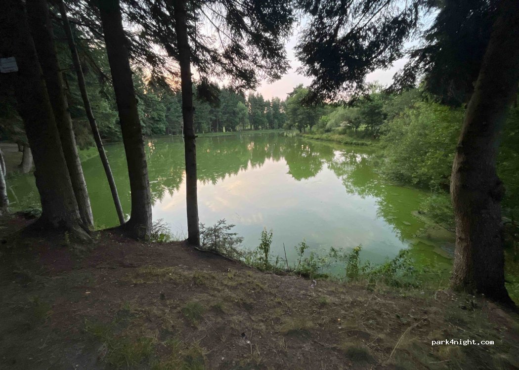 (43600) Sainte-Sigolène - — foto 3