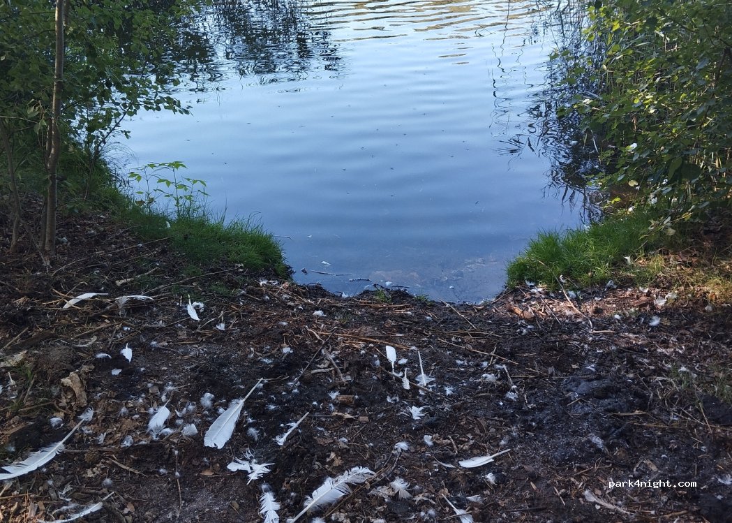 Campingplatz am Dammühlenteich — foto 4