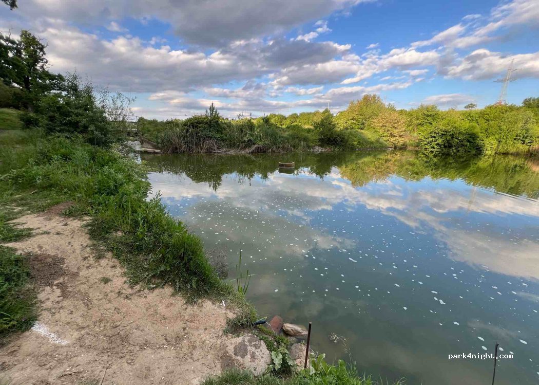 (077030) Brănești - 89 Strada Ilfov — foto