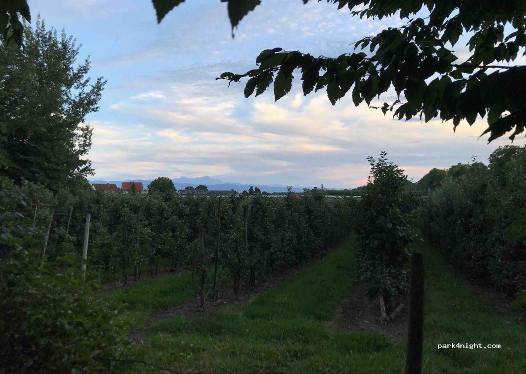 (88079) Langenargen - Kressbronner Straße — foto