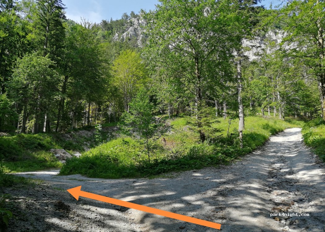 (4290) Tržič - — foto 2
