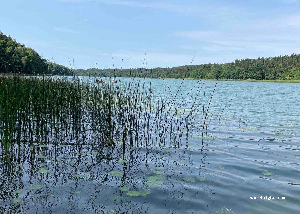 (89-520) Piła - 2 Harcerska — foto
